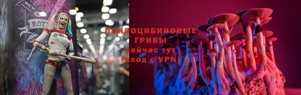 тгк Пересвет