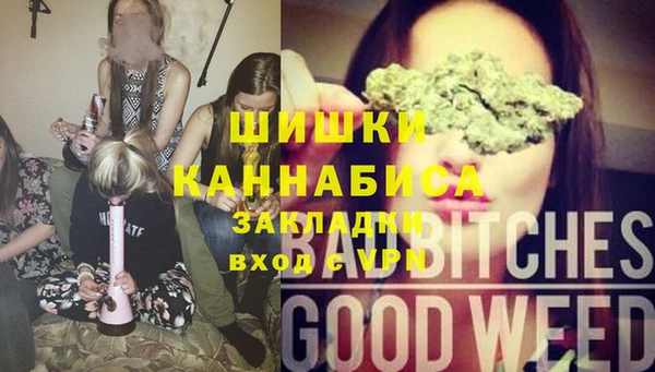 прущая мука Арсеньев