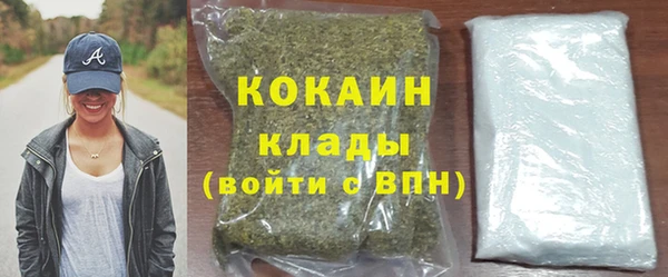 тгк Пересвет