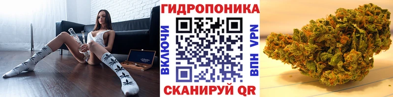 Бошки Шишки Amnesia  где купить наркотик  Судак 